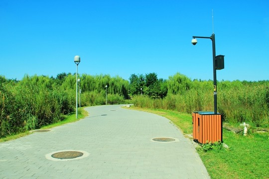 森林公園的路