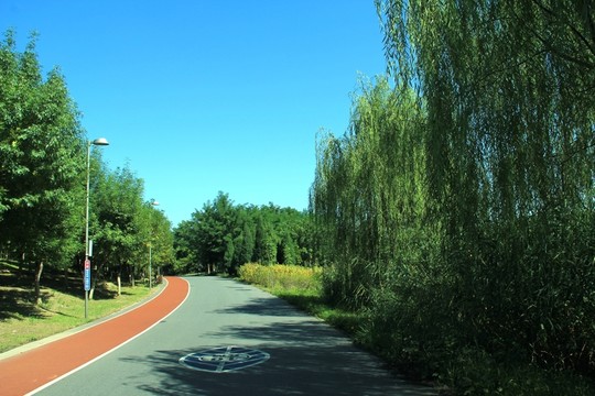 奧林匹克公園  跑道