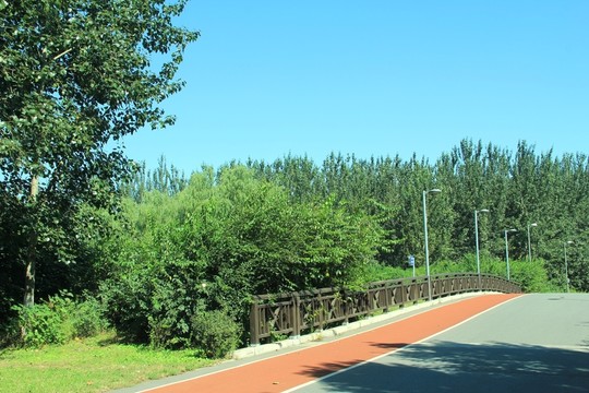 奧林匹克公園跑道