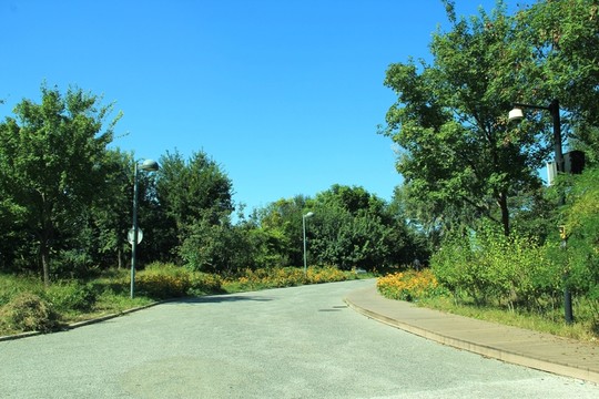 森林公園的路