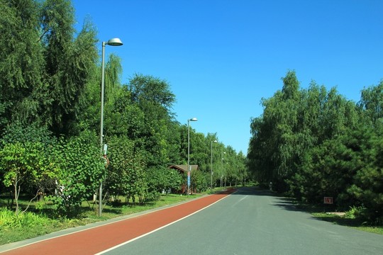 奧林匹克森林公園   跑道