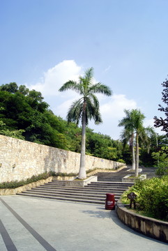 深圳寶安公園景觀