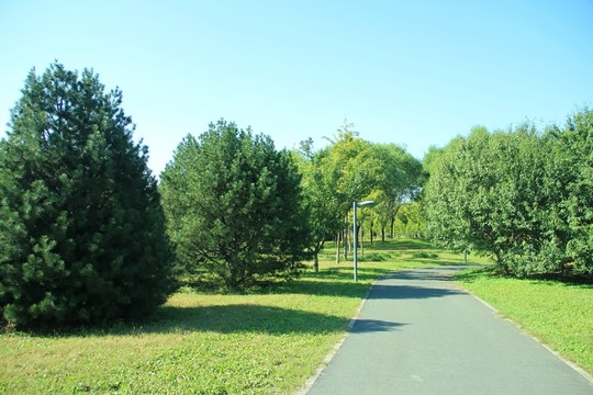 森林公園  景色