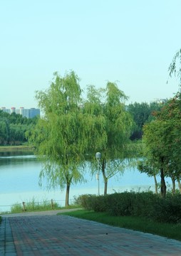 森林公園 景色