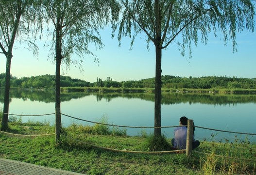 森林公園  湖邊 情侶