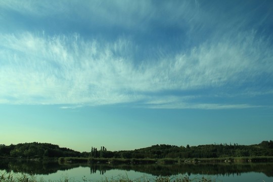 遠(yuǎn)山  森林公園