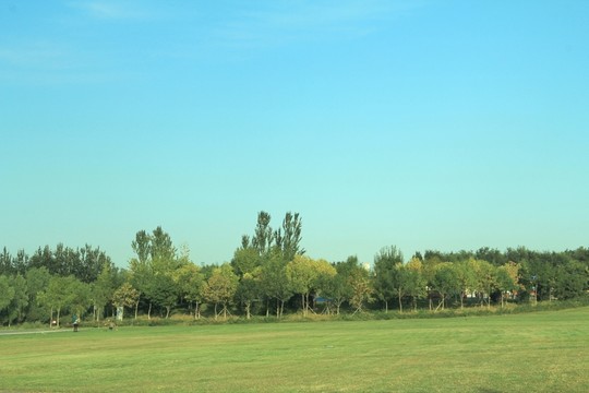 森林公園  秋景   沿途風(fēng)景