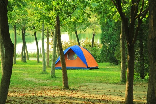 森林公園  野營帳篷   沿途風(fēng)景