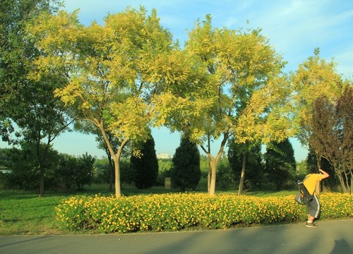 森林公園   攝影秋景   沿途風景