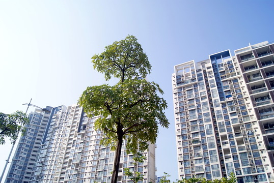 城市建筑