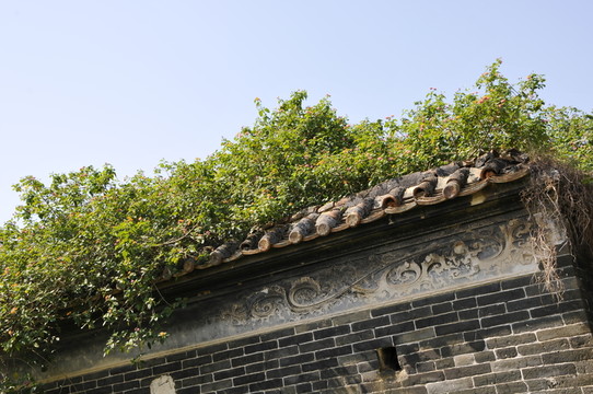 嶺南古村落 從化錢崗村