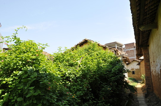嶺南古村落 從化錢崗村