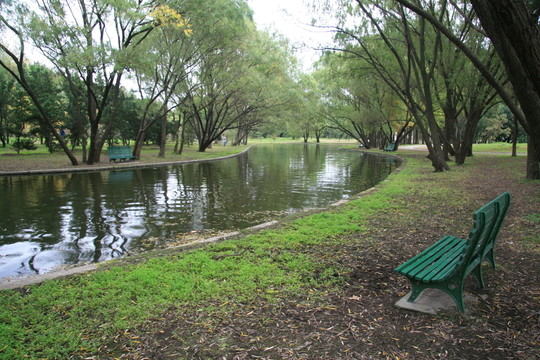寧?kù)o的公園湖邊
