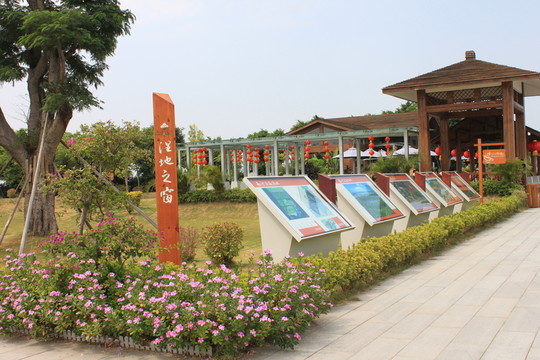 濕地之窗