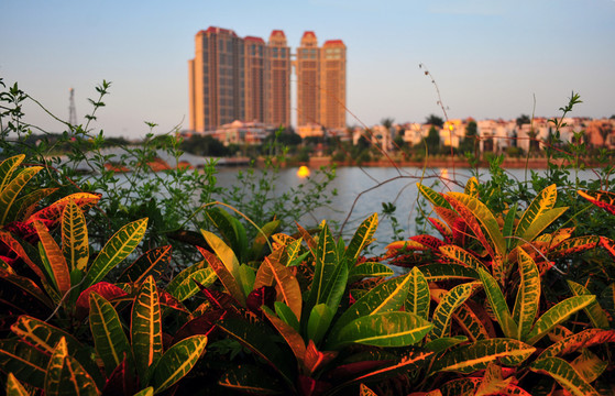 陽江鴛鴦湖風(fēng)景 美麗湖畔