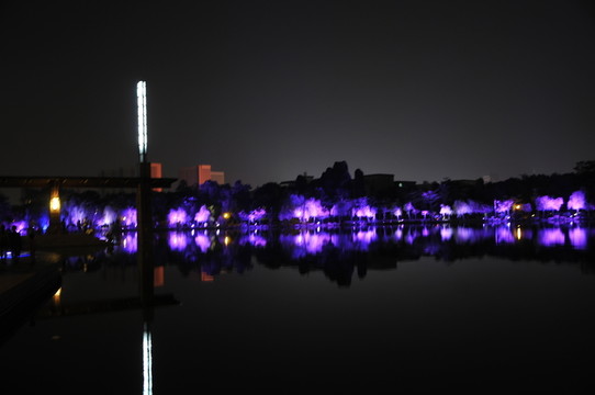 佛山千燈湖夜景
