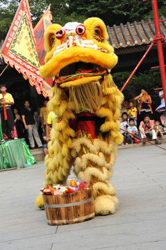 佛山舞獅