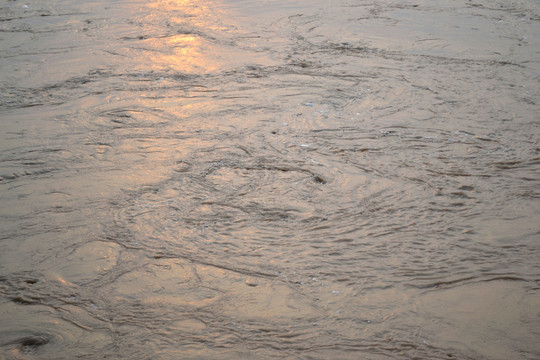 黃河水