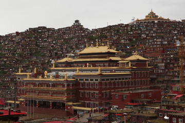 大型建筑群