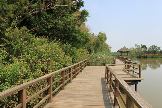 木棧道
