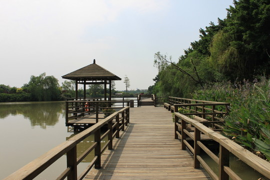 木棧道