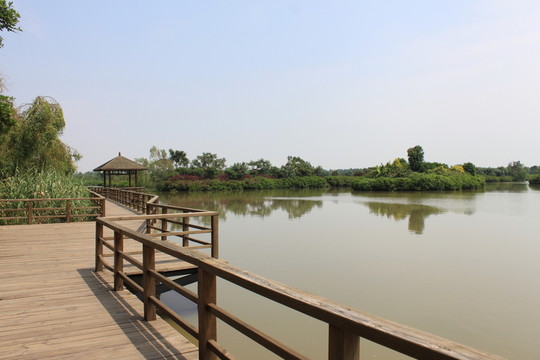 木棧道