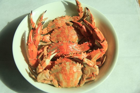 農(nóng)家院的螃蟹