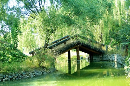 沿途的風(fēng)景  木橋