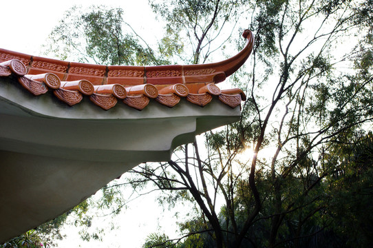 公園樓閣與樹(shù)木