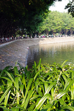 東莞虎英郊外公園風(fēng)光