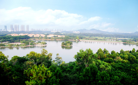 東莞虎英郊野公園風(fēng)光