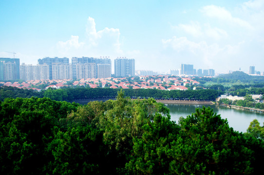 東莞虎英郊野公園風(fēng)光