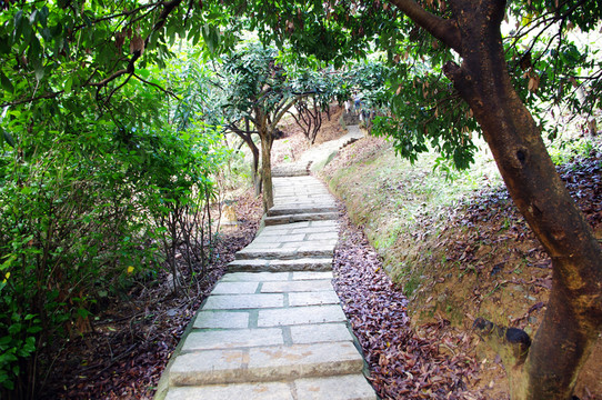 山間小路