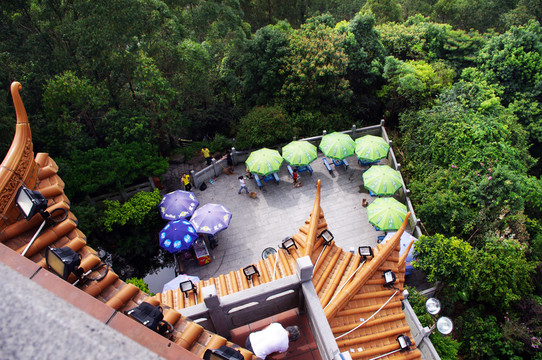 東莞水濂山森林公園觀光