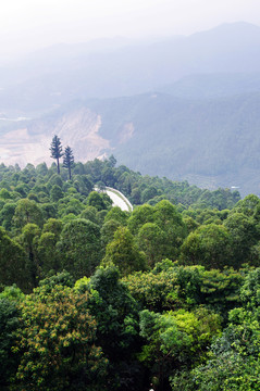 東莞水濂山森林公園觀光