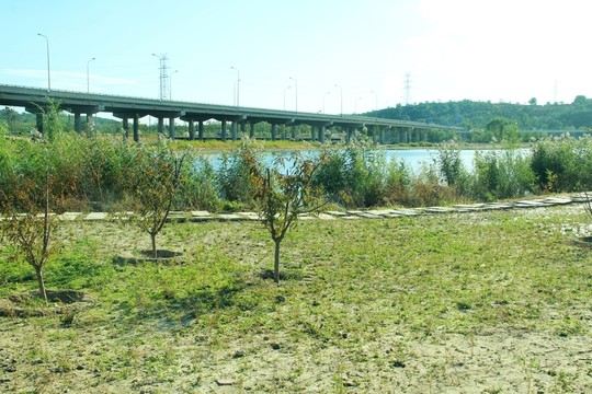 蓮石湖公園 遠山  高架橋