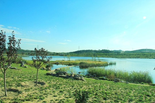 河流   遠山  大樹
