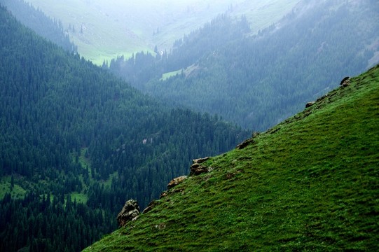 天山風(fēng)光