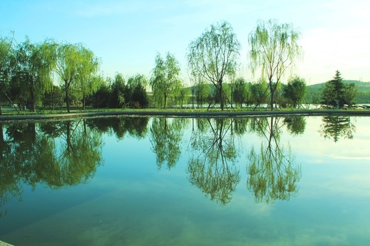 綠樹  藍(lán)天白云湖中倒影
