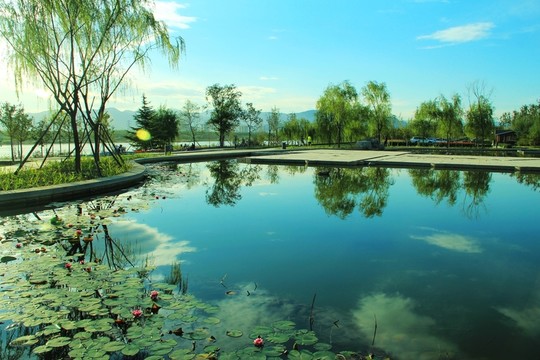 綠樹  藍(lán)天白云湖中倒影