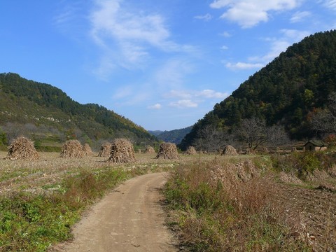 山區(qū)