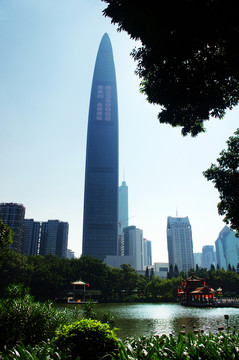 深圳京基100