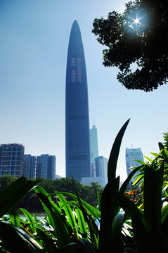 深圳京基100
