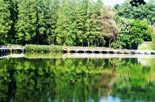 深圳荔枝公園釣魚區(qū)風(fēng)景