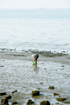 海邊拾牡蠣者
