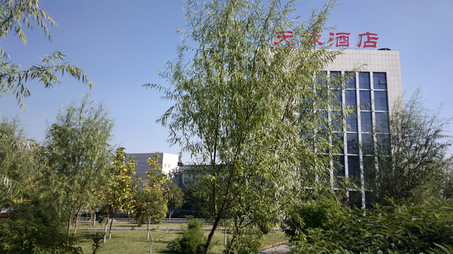 城市綠化