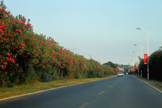 大嶝小鎮(zhèn)免稅公園