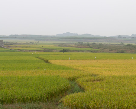 秋天的田野