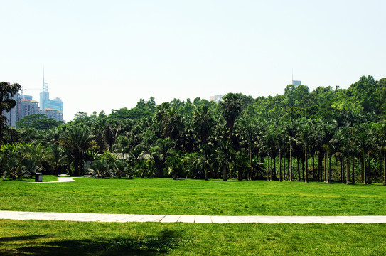 深圳蓮花山公園風(fēng)光