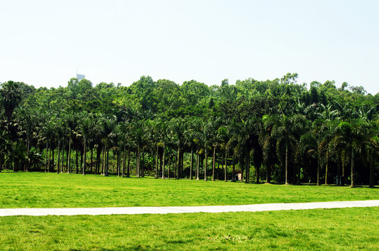 深圳蓮花山公園風(fēng)光